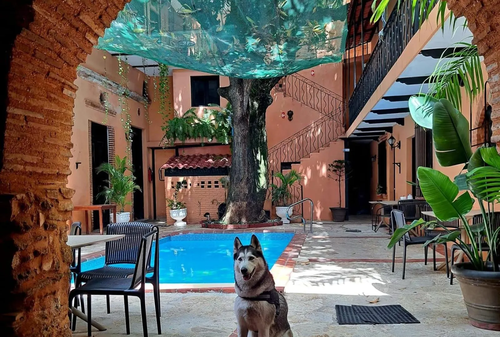 Historic Colonial Boutique Hotel Pool Jacuzzi Bar Restaurant By Aa Group Santo Domingo